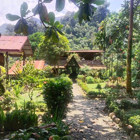 Mountain View Cottages & Villa Tangkahan Eksteriør billede