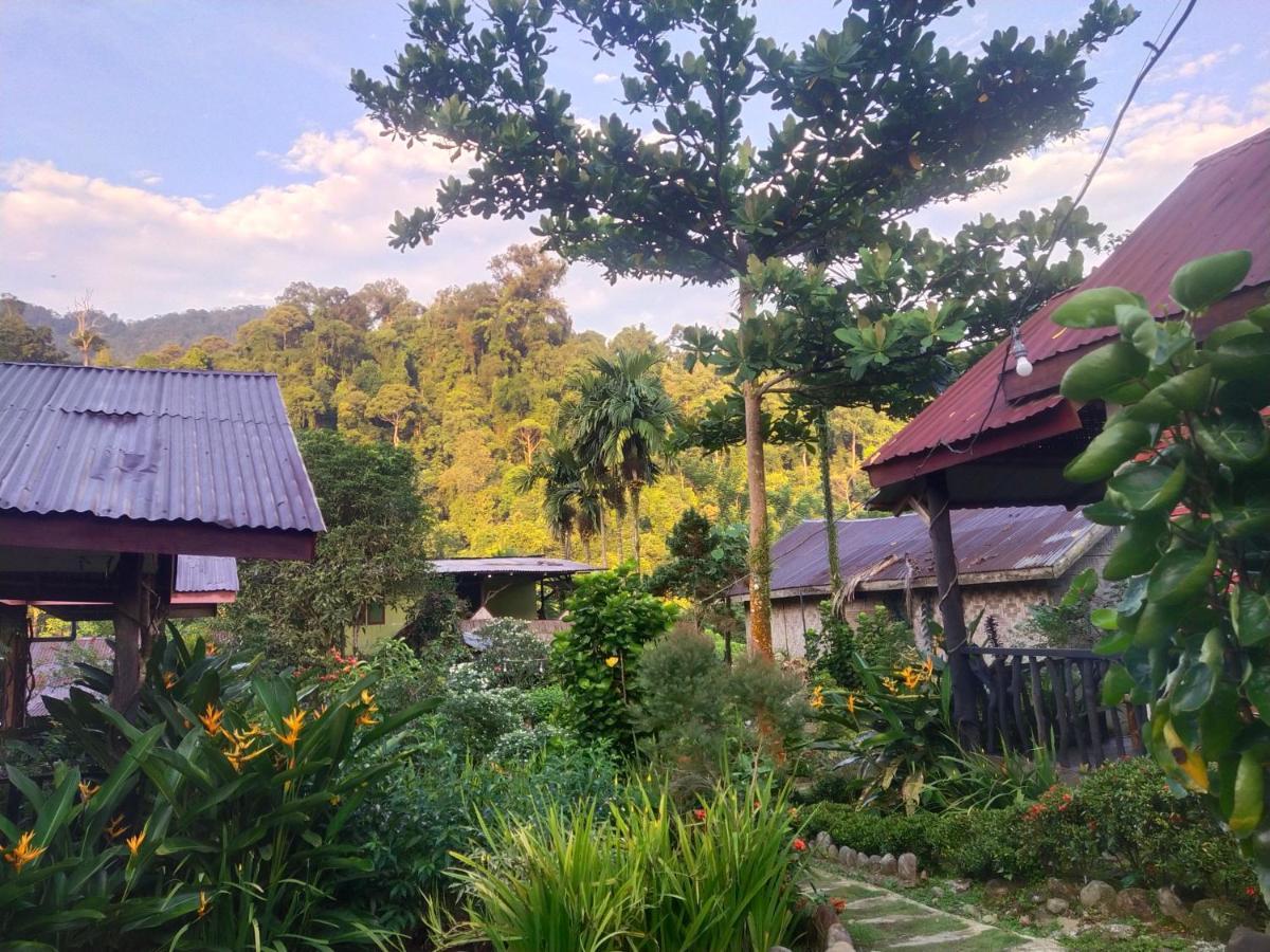 Mountain View Cottages & Villa Tangkahan Eksteriør billede