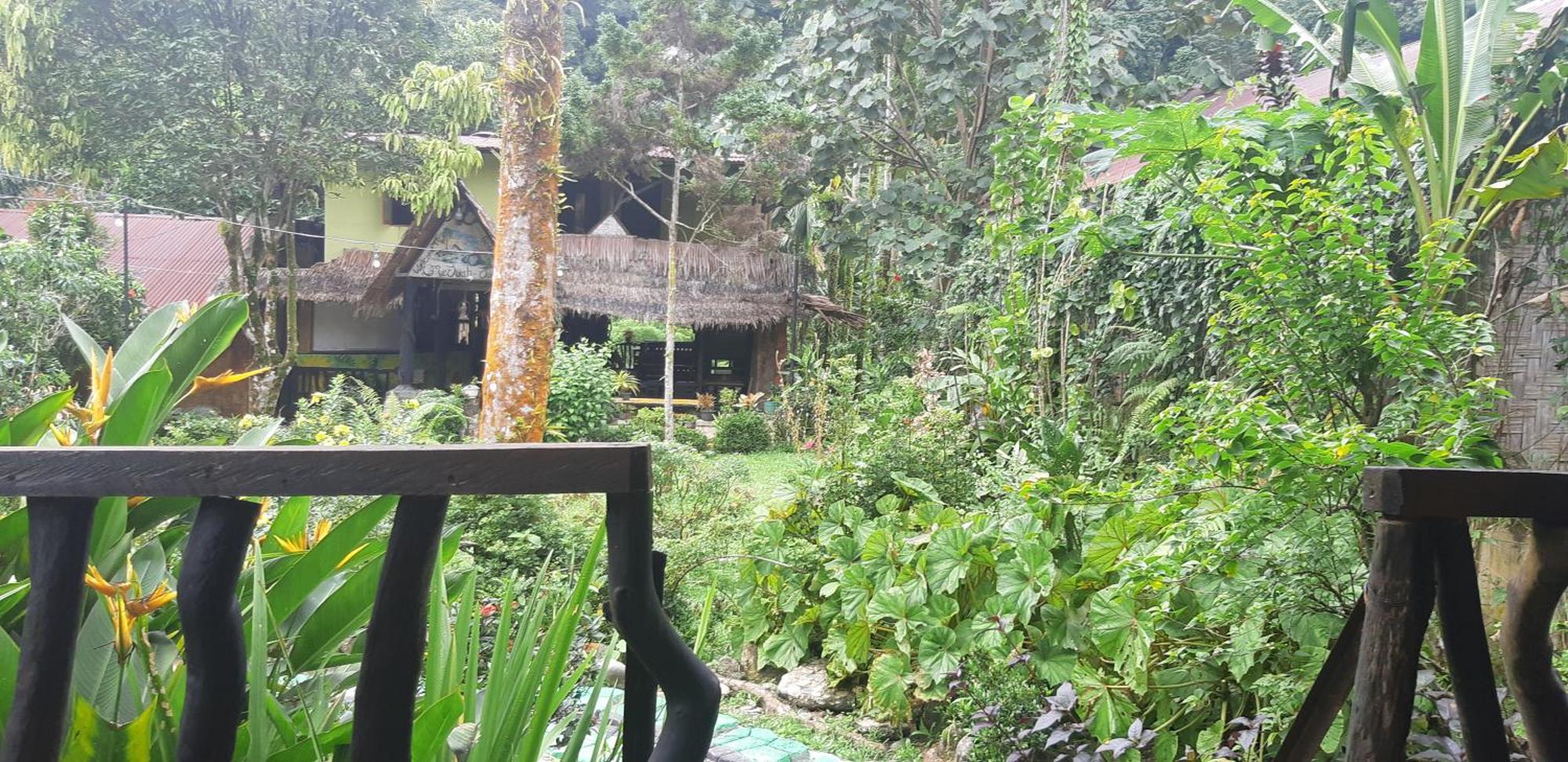 Mountain View Cottages & Villa Tangkahan Eksteriør billede